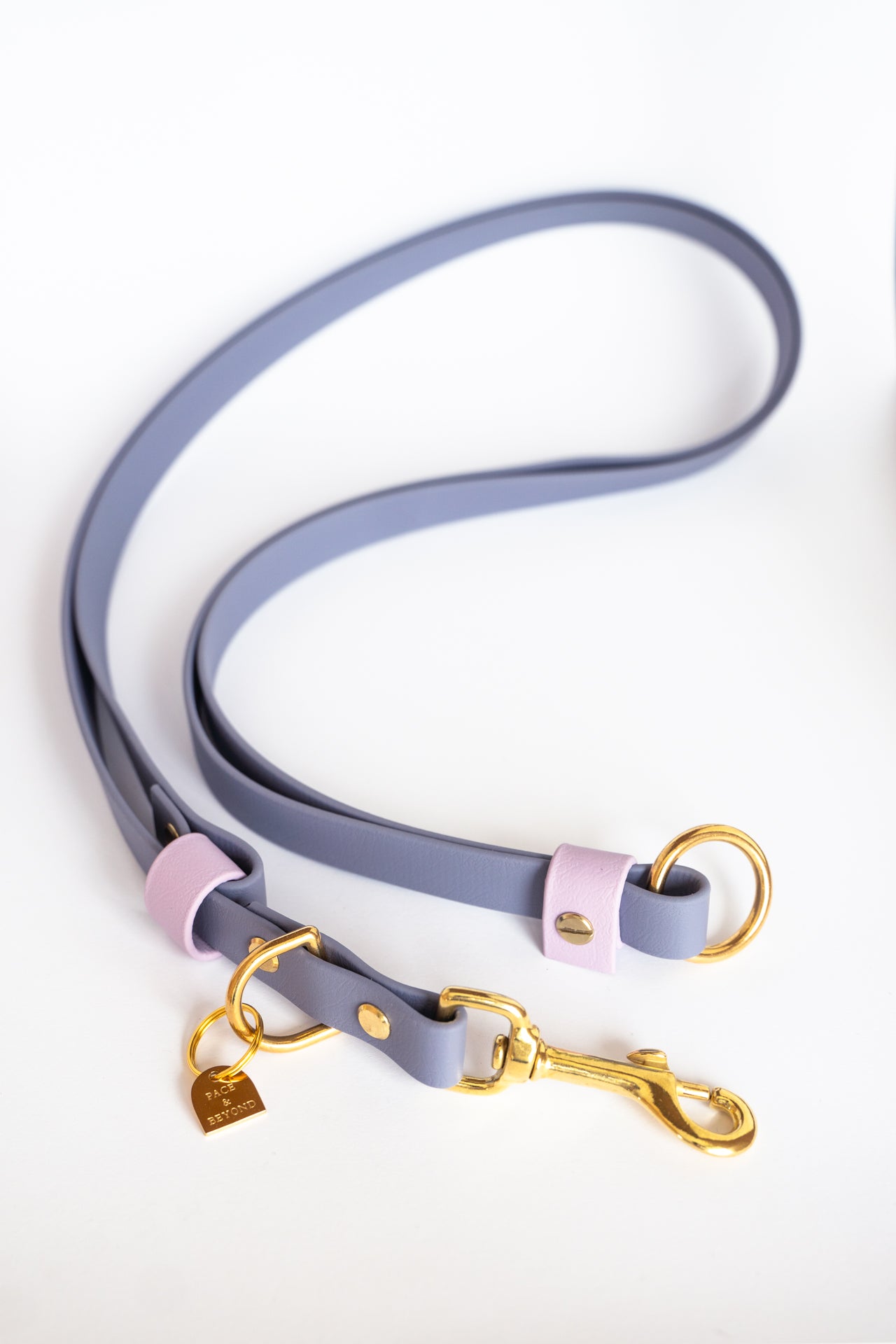 CONNECT Hands-Free Leash Converter