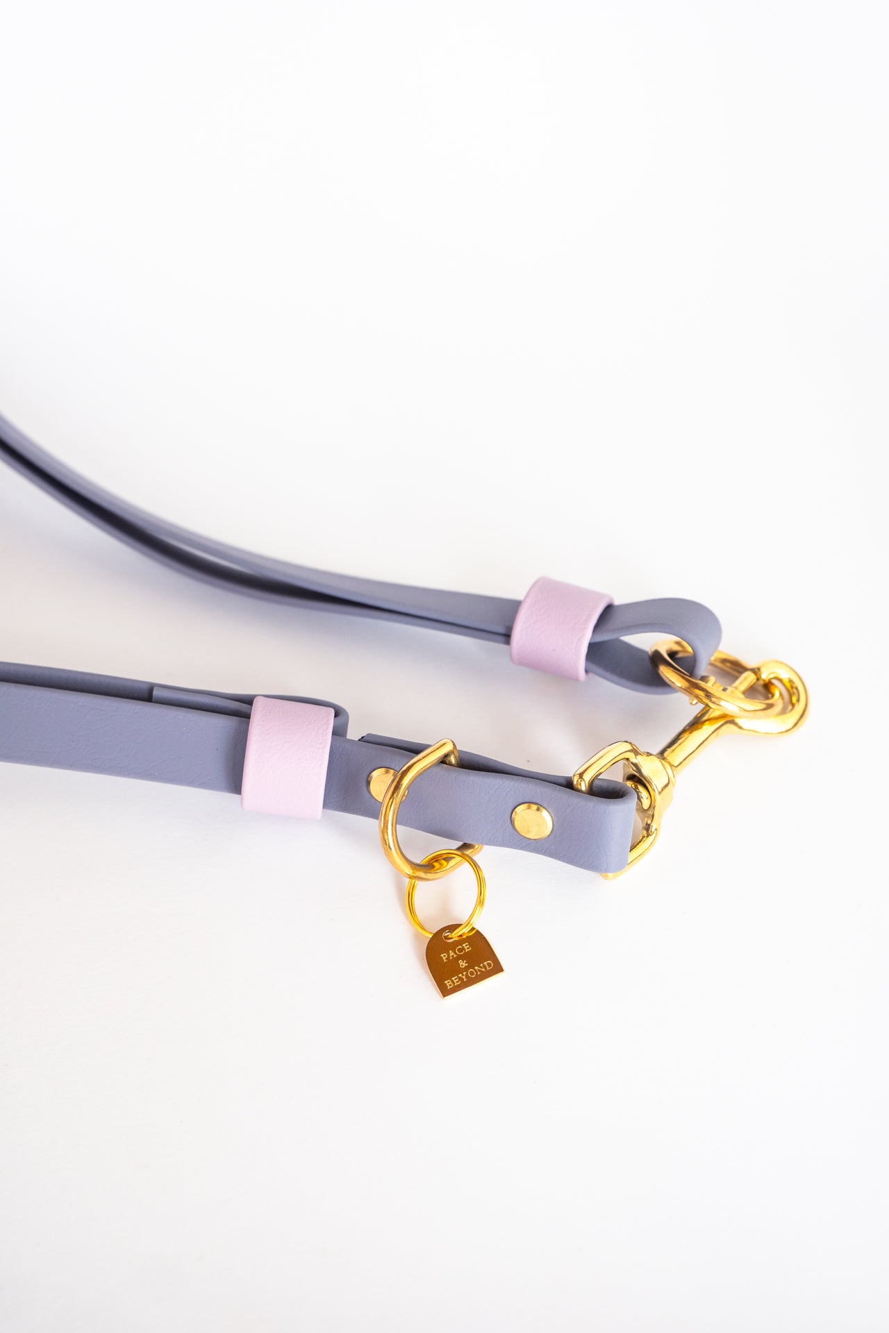 CONNECT Hands-Free Leash Converter
