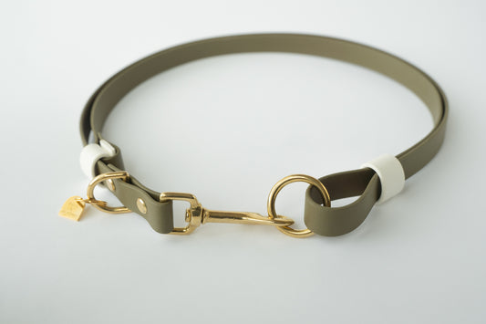 CONNECT Hands-Free Leash Converter