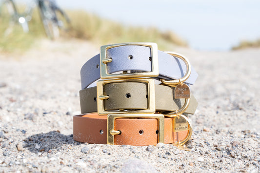 CPH Classic Collar