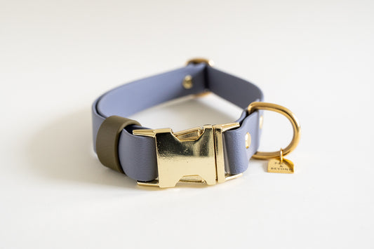 FYN Adjustable Quick-Release Collar