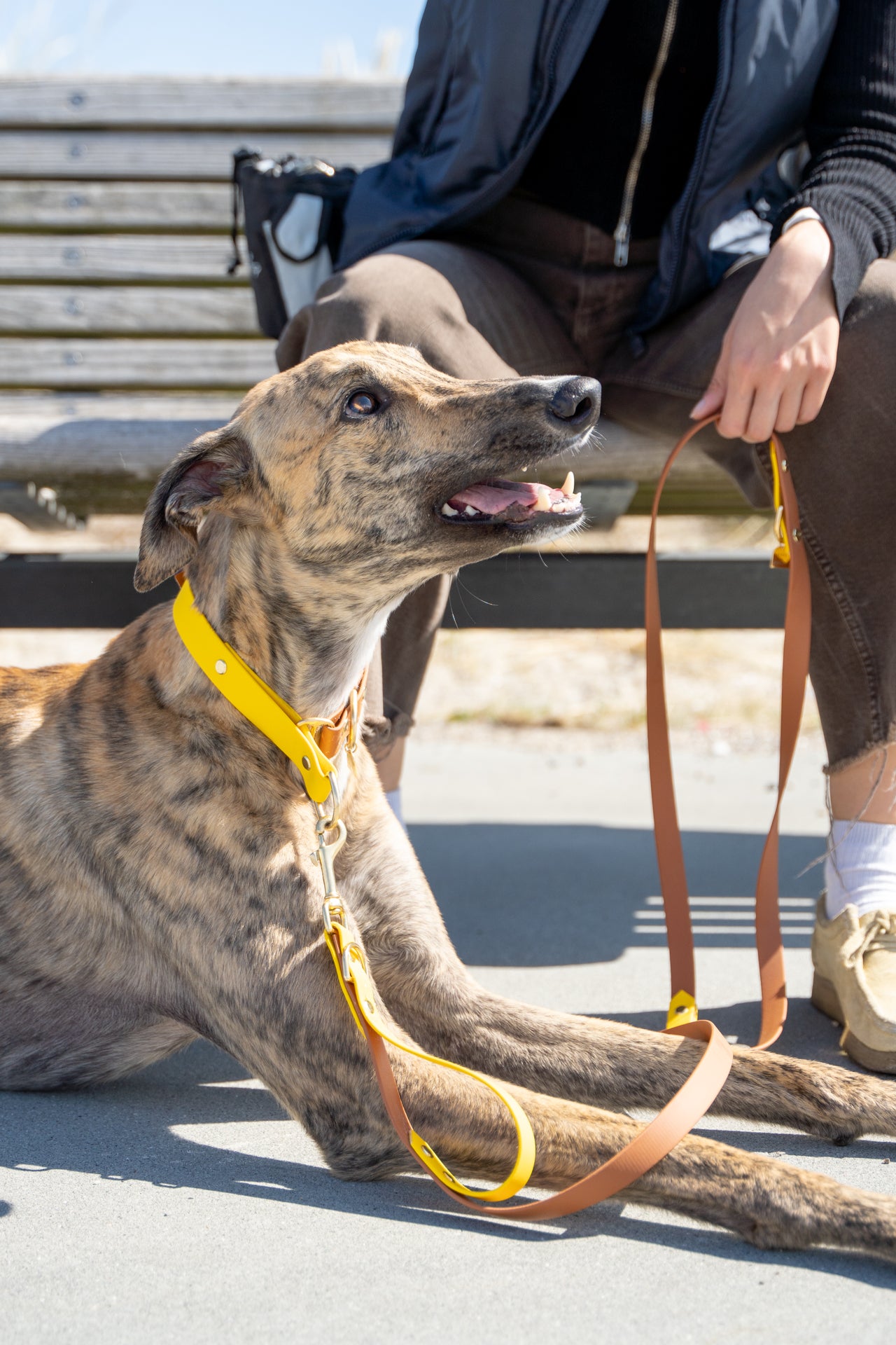 SAMSØ Hands-Free Leash (19mm)